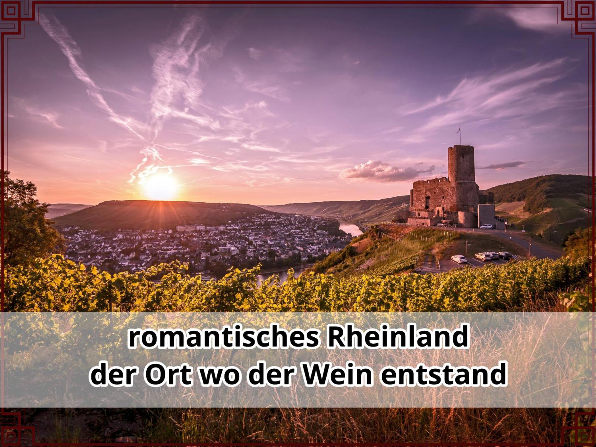 Smallsaigon Apartment Mit Guter Anbindung Zwischen Mosel Und Rhein Leiningen Extérieur photo